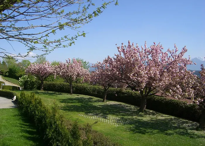 Garni Fruehstueckspension Neff بيت ضيافة 3*