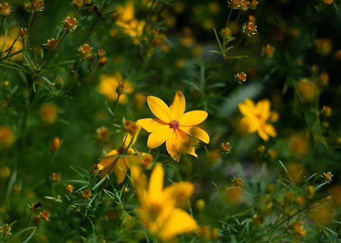بيت ضيافة Garni Fruehstueckspension Neff فيلدين ام ورثرسي