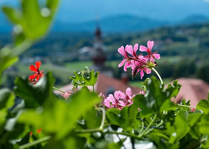 Garni Fruehstueckspension Neff Velden am Wörthersee